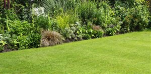 How To Find A Great Lawn Care Specialist Near You?