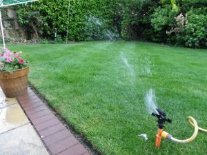 Watering Your Lawns